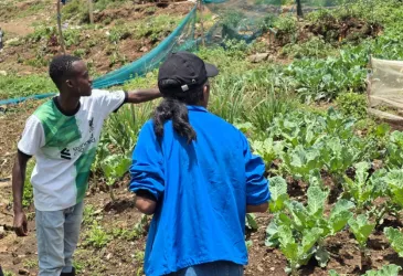 Field visit in Mathare Slums